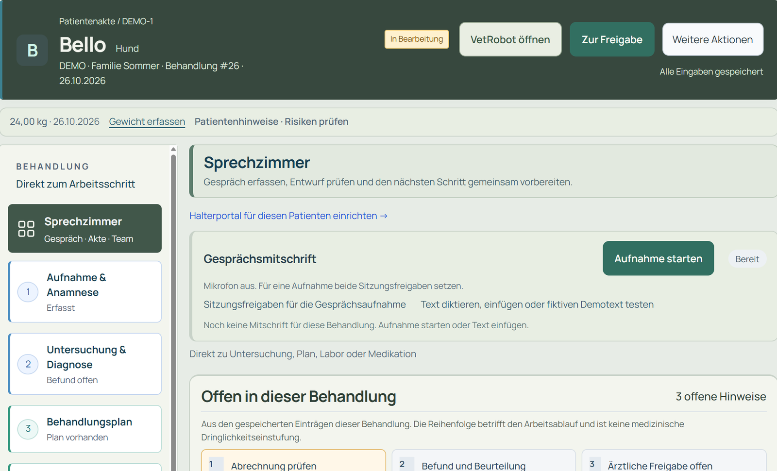 Behandlung · echter Ausschnitt aus Vetasur 1.98.1 · fiktive Demo